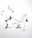 akos_images
